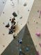 IMG-20250420-WA0033