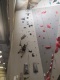 IMG_20250420_114231