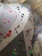 IMG_20250420_121839