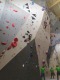IMG_20250420_121941