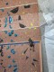 IMG-20240420-WA0006