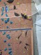 IMG-20240420-WA0009