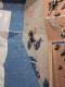 IMG-20240420-WA0019