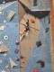 IMG-20240420-WA0023