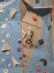 IMG-20240420-WA0024