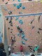 IMG-20240420-WA0031