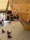 IMG-20250928-WA0010