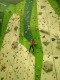 IMG_20221204_140931