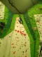 IMG_20221204_143126