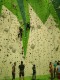 IMG_20221204_152630