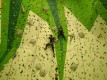 IMG_20221204_152639