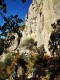 IMG_20221211_102356