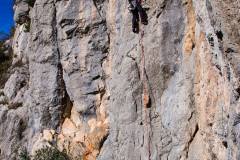 15016422_10154120275207057_4987731192562096635_o