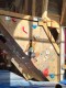 IMG-20210722-WA0006