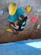 IMG-20210722-WA0021
