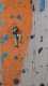IMG-20241223-WA0001
