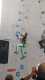 IMG-20241223-WA0010