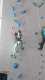 IMG-20241223-WA0011