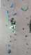IMG-20241223-WA0012