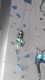 IMG-20241223-WA0013