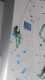 IMG-20241223-WA0014