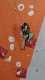 IMG-20241223-WA0016