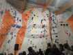 IMG-20241223-WA0031