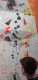 IMG-20241223-WA0038