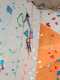 IMG-20241223-WA0049