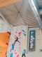 IMG-20241223-WA0050