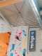 IMG-20241223-WA0051