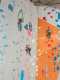 IMG-20241223-WA0052