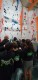 IMG-20221217-WA0000