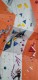 IMG-20221217-WA0006
