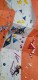IMG-20221217-WA0007