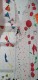 IMG-20221217-WA0019