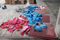 15167549_10154101545134142_6575862010562078458_o