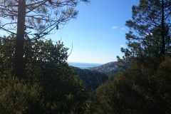 27972630_10213100127610155_7001246134592992428_n