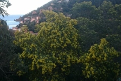 28058349_10213100130410225_82848667385442434_n