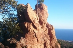 28059437_10213100129690207_3974727820299585924_n