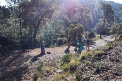 _copie-0_IMG_20180218_100157