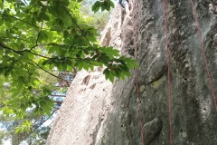 IMG_20250615_130548_865