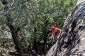 PXL_20260607_091159479_compressed