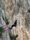 IMG-20250512-WA0012