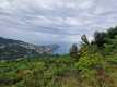 IMG-20250512-WA0014