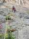 IMG-20250512-WA0017