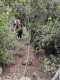 IMG-20250512-WA0019