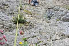 IMG-20250512-WA0017