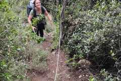 IMG-20250512-WA0019