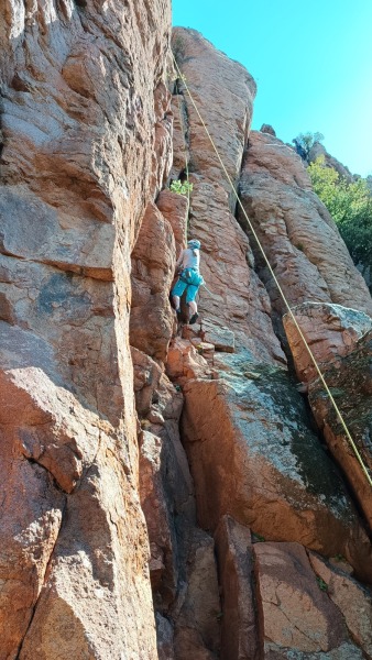 IMG_20250330_133412_562